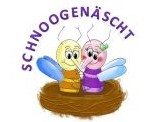 Tagesheim Schoogenäscht GmbH
